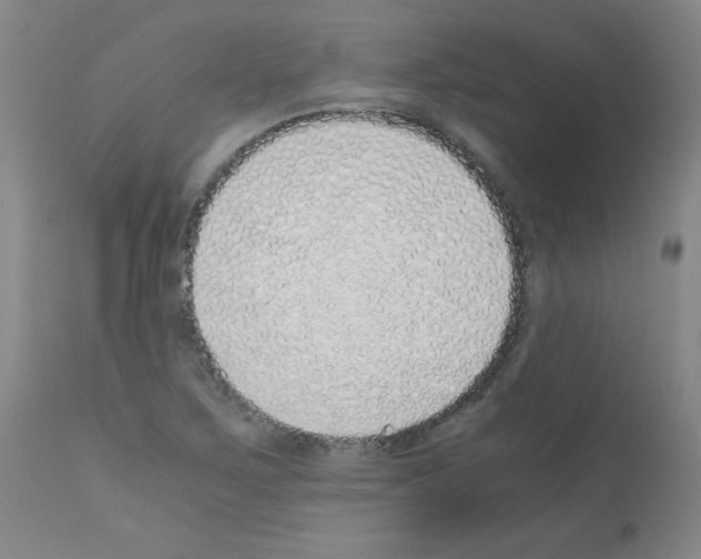 X0000111881267200909031832