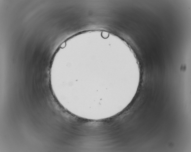 X0000111881268200909031832