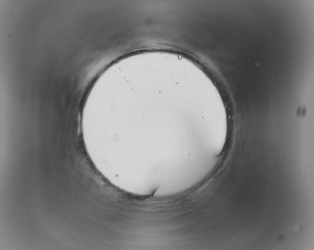 X0000111881269200909031832