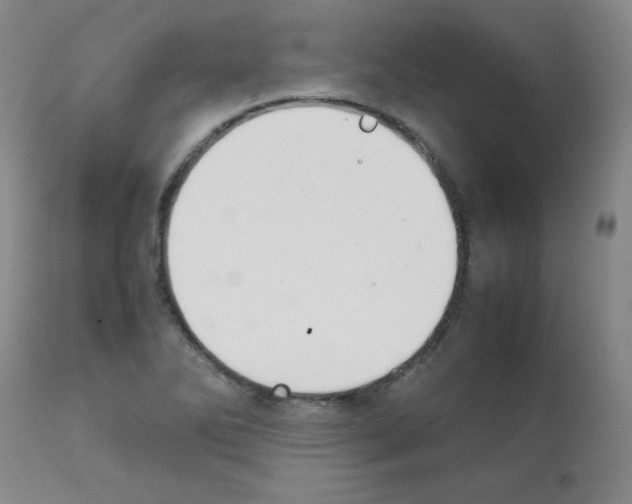 X0000111881270200909031832