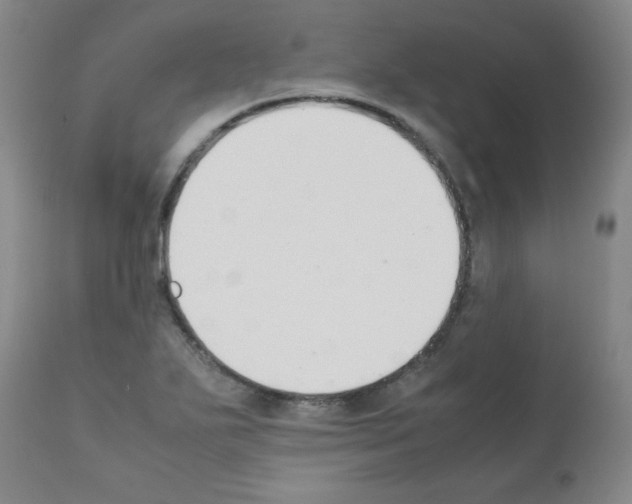 X0000111881271200909031832