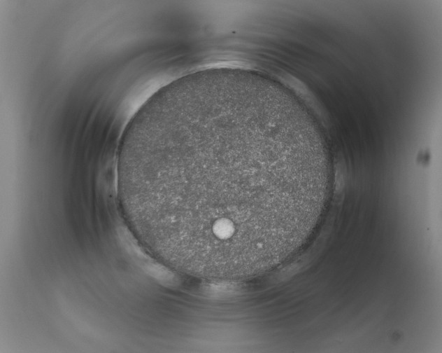 X0000111881274200909031832