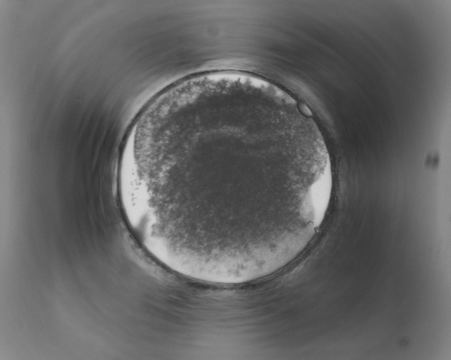 X0000111881276200909031832