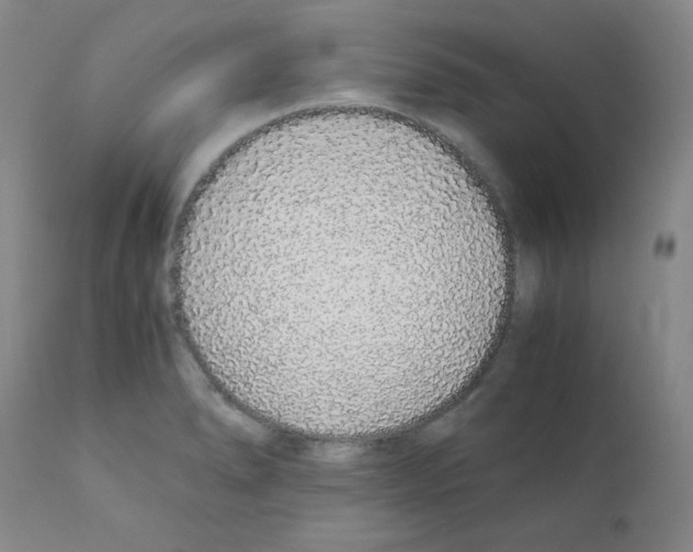 X0000111881278200909031832
