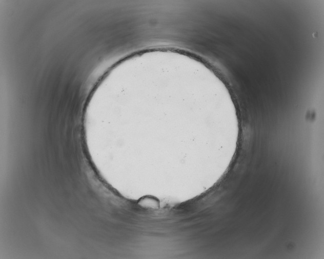 X0000111881279200909031832