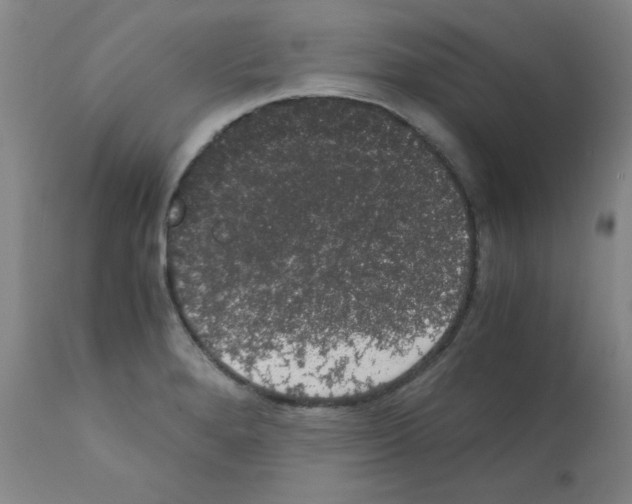 X0000111881280200909031832