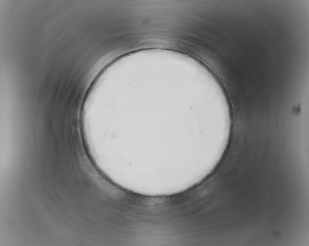X0000111881283200909031832