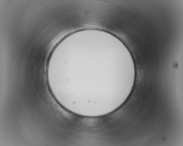 X0000111881286200909031832