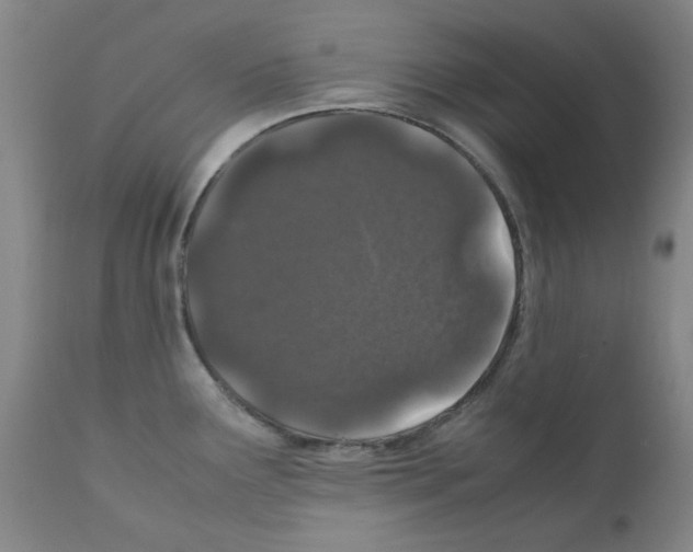 X0000111881291200909031832