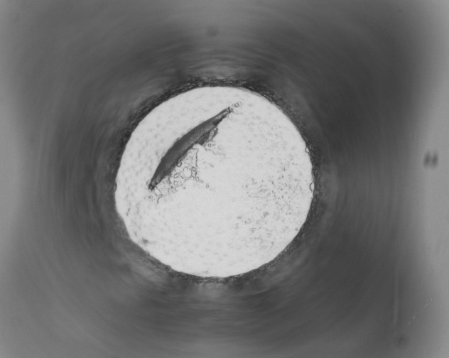X0000111881297200909031831
