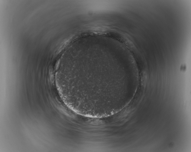 X0000111881298200909031831