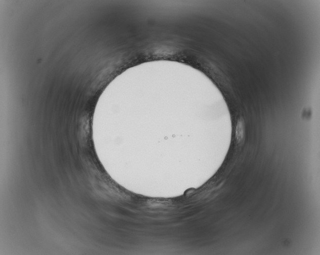 X0000111881299200909031831