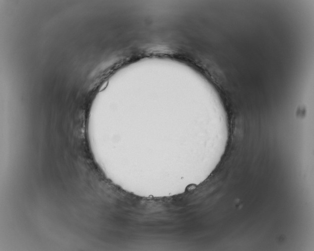 X0000111881301200909031831