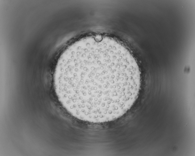 X0000111881302200909031831