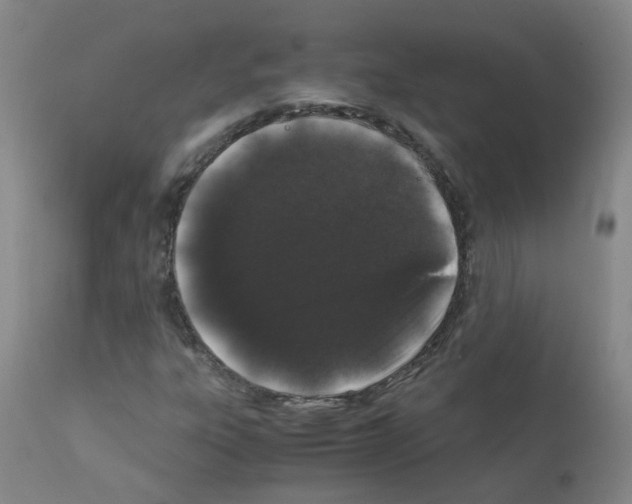 X0000111881303200909031831