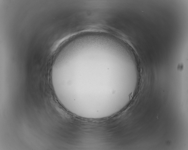 X0000111881304200909031831