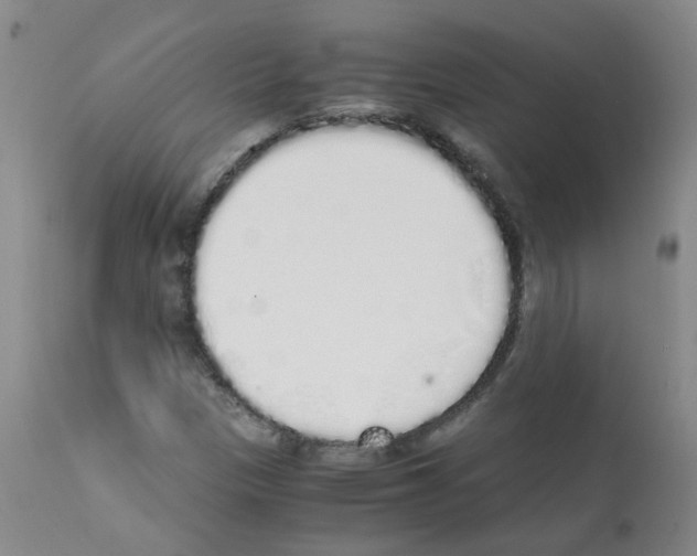 X0000111881305200909031831