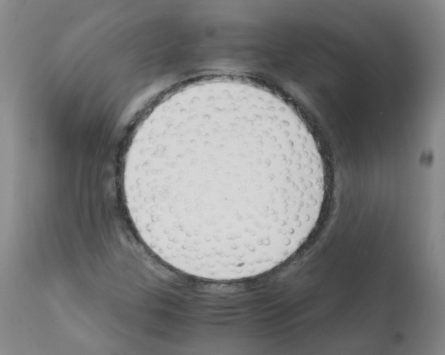 X0000111881307200909031831