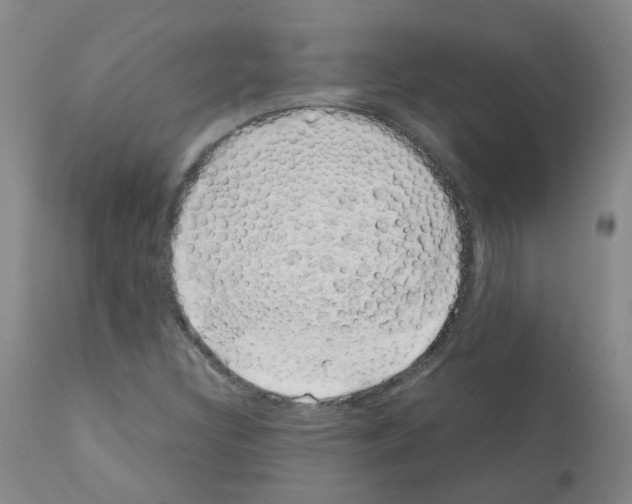 X0000111881308200909031831