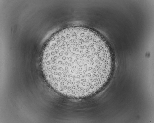 X0000111881309200909031831