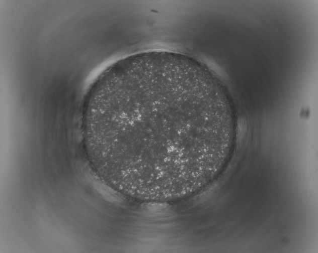 X0000111881310200909031831