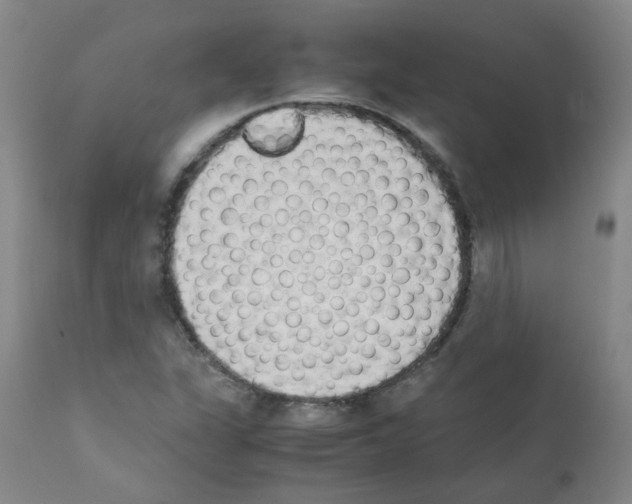 X0000111881311200909031831