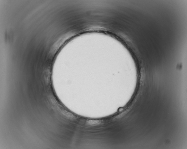 X0000111881313200909031831