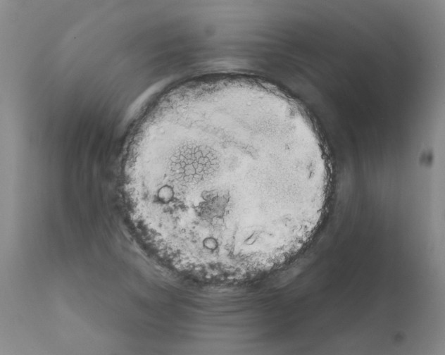 X0000111881314200909031831