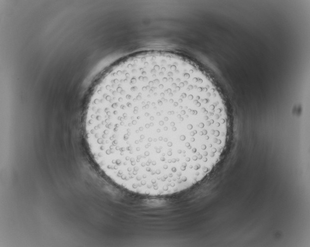X0000111881315200909031831