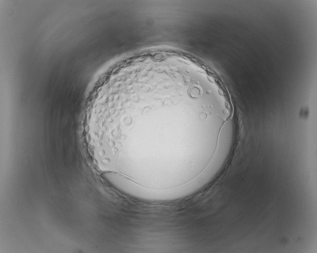 X0000111881316200909031831