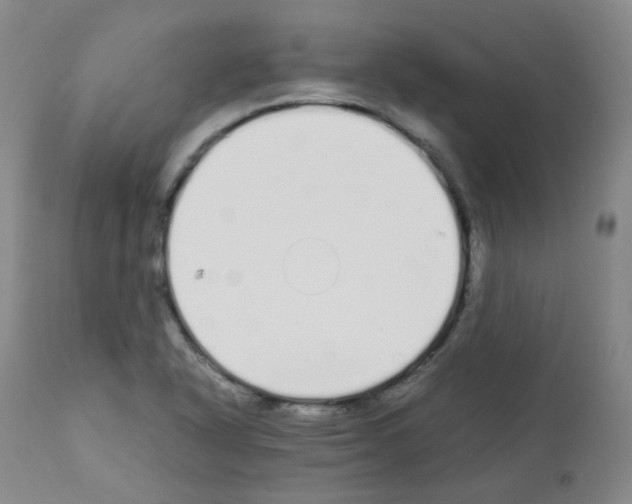 X0000111881318200909031831