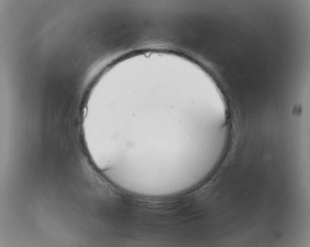 X0000111881319200909031831