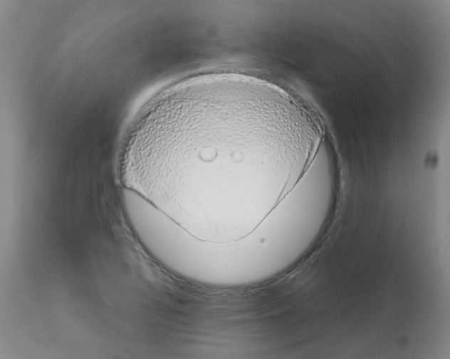X0000111881320200909031831