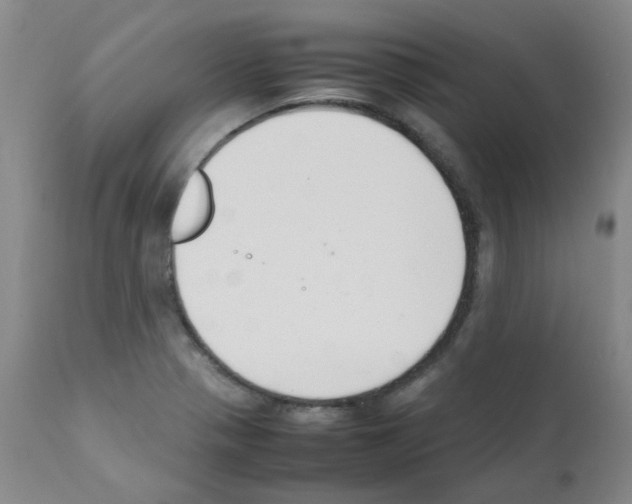 X0000111881321200909031831