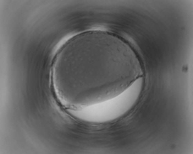 X0000111881323200909031831