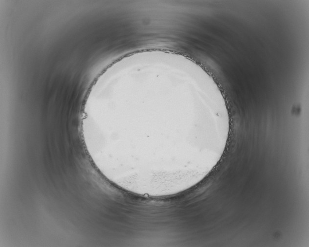 X0000111881324200909031831