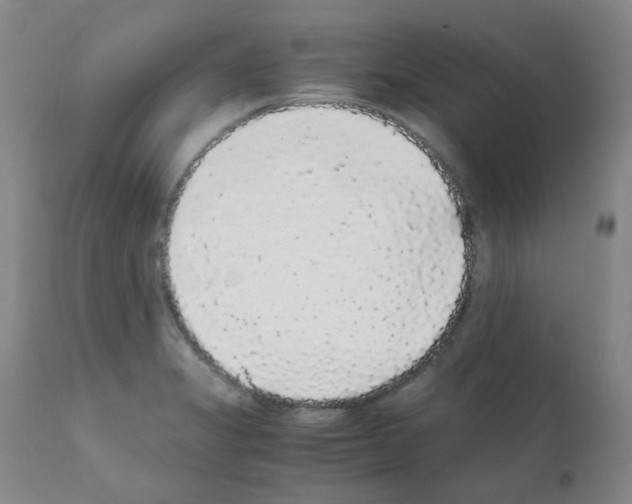 X0000111881325200909031831