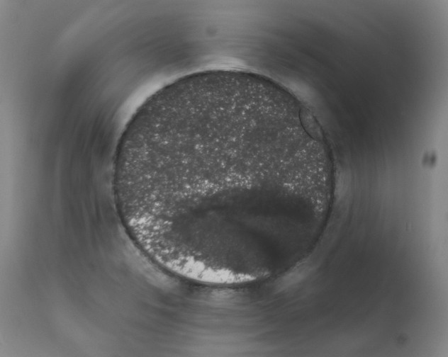 X0000111881326200909031831