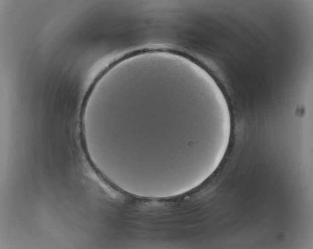 X0000111881327200909031831
