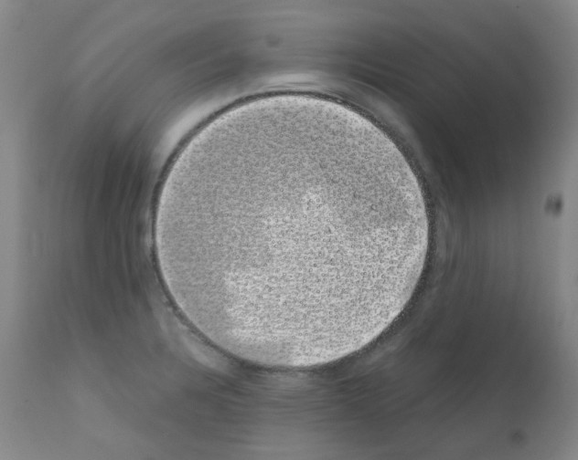 X0000111881328200909031831