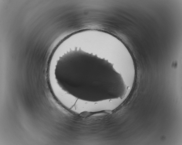 X0000111881331200909031831