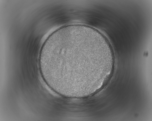 X0000111881333200909031831