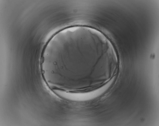 X0000111881334200909031831