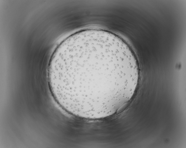 X0000111881335200909031831
