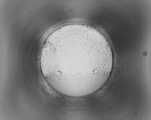 X0000111881336200909031831