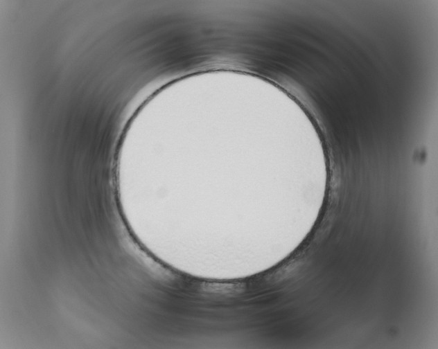 X0000111881339200909031831