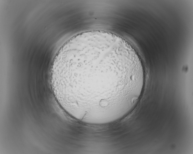 X0000111881340200909031831