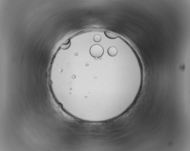 X0000111881341200909031831
