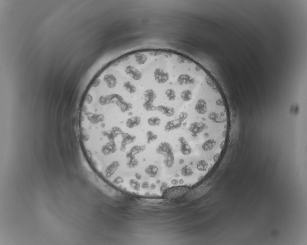 X0000111881342200909031831