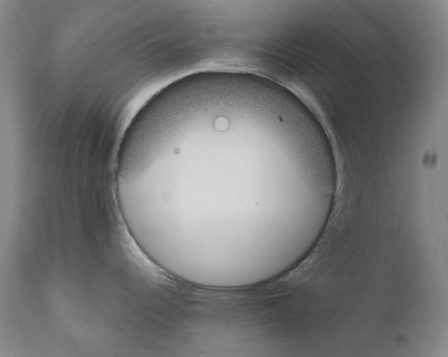 X0000111881344200909031831